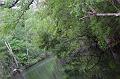 365. fiume